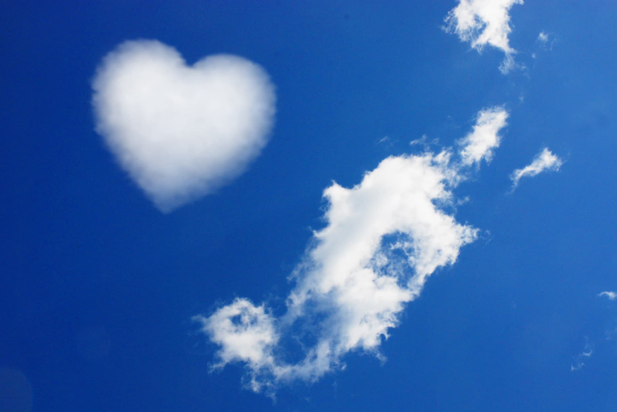 Tarot Nori Zumbaインストラクター 講演家 生涯学習 女性向けレッスン タロットカウンセリング Tarot Nori Zumbaインストラクター 講演家 生涯学習 女性向けレッスン タロットカウンセリング